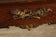 20th Century Louis XV-Style Vernis Martin Mahogany and Carved Giltwood Cabinet on Stand